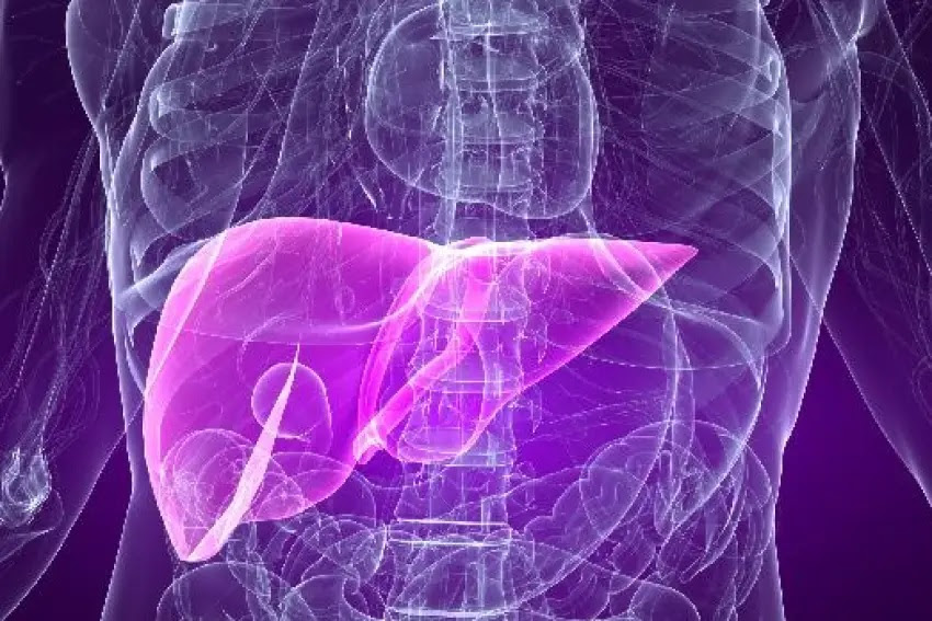 Hepatite autoimune: causas, sintomas e tratamento da doença