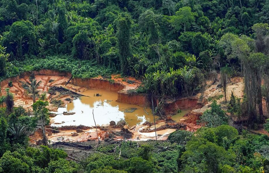 Mais um corpo é encontrado em Território Yanomami; é o 14º em apenas uma semana